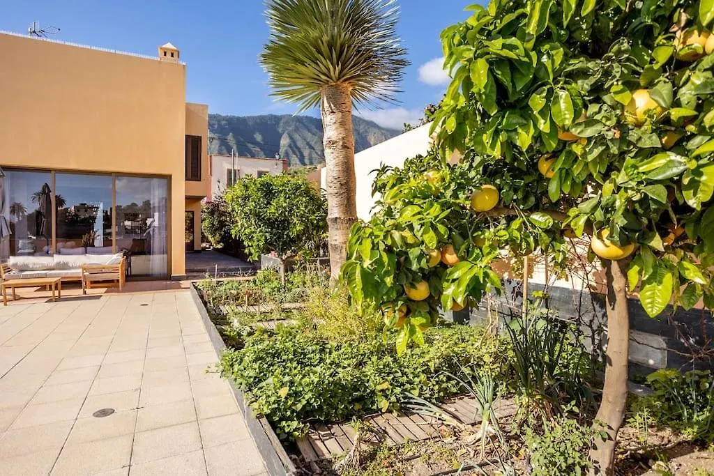 Villa De La Huerta Con Piscina Privada Y Barbacoa Guimar